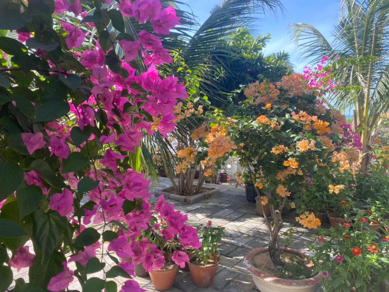 Windy Hills Hotel Μούι Νε Εξωτερικό φωτογραφία